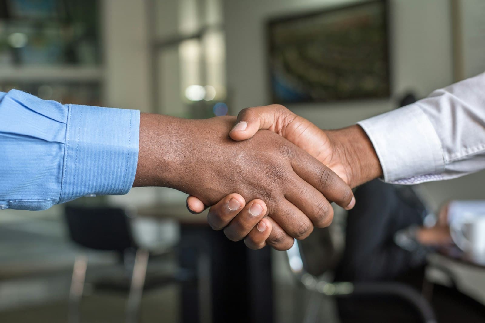 Two professionals shaking hands
